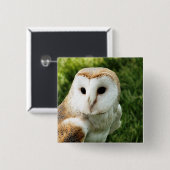 OWL VIERKANTE BUTTON 5,1 CM (Voorkant /achterkant)