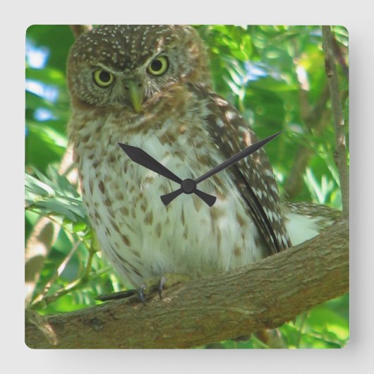 OWL VIERKANTE KLOK (Voorkant)