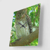 OWL VIERKANTE KLOK (Hoek)