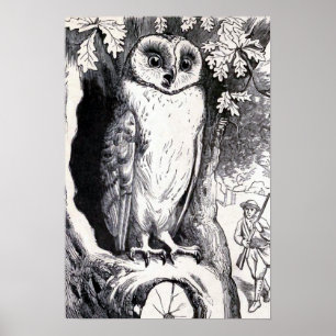 "Owl" Vintage Illustratie Poster
