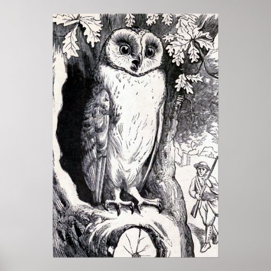 "Owl" Vintage Illustratie Poster (Voorkant)