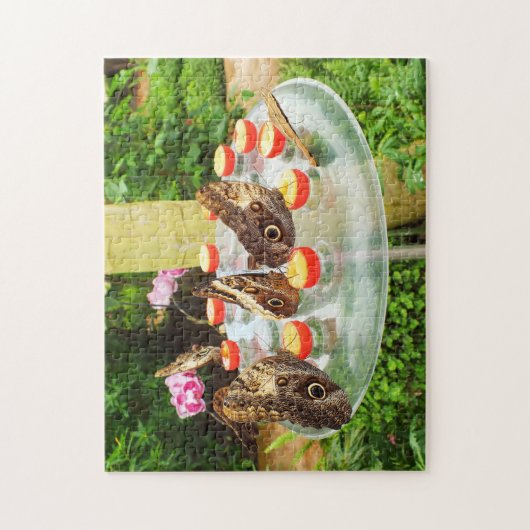 Owl vlinder legpuzzel (Verticaal)
