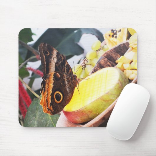 Owl vlinder muismat (Met muis)