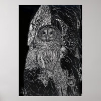 Owl vogelboom Tekening zwarte witte kunst
