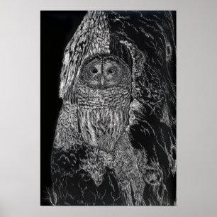 Owl vogelboom Tekening zwarte witte kunst Poster