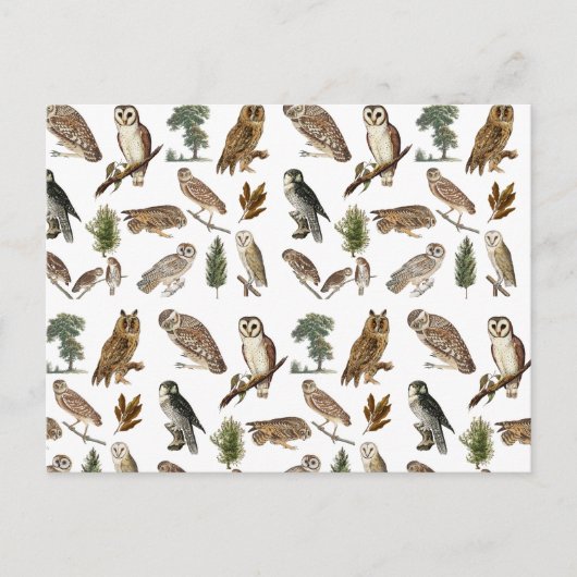 owl Waterverf Forest Pattern Feestdagenkaart (Voorkant)