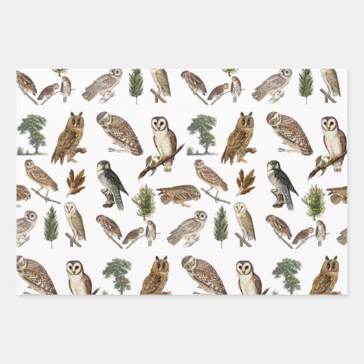 owl Waterverf Forest Pattern Inpakpapier Vel (Voorkant 2)