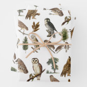owl Waterverf Forest Pattern Inpakpapier Vel (In situ)