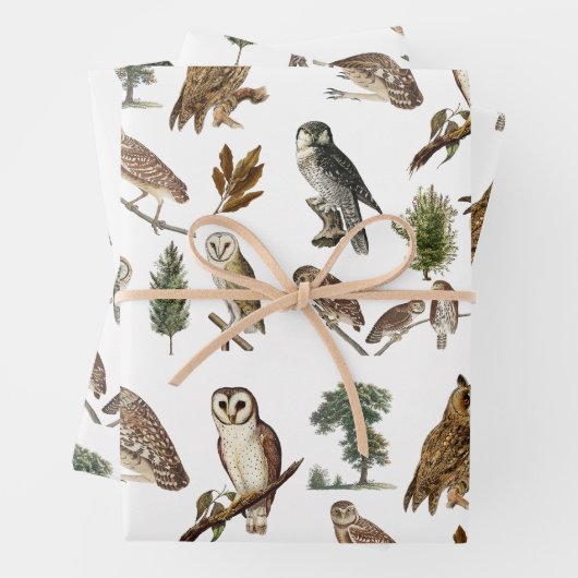 owl Waterverf Forest Pattern Inpakpapier Vel (In situ)