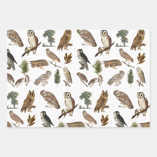 owl Waterverf Forest Pattern Inpakpapier Vel (Voorkant)