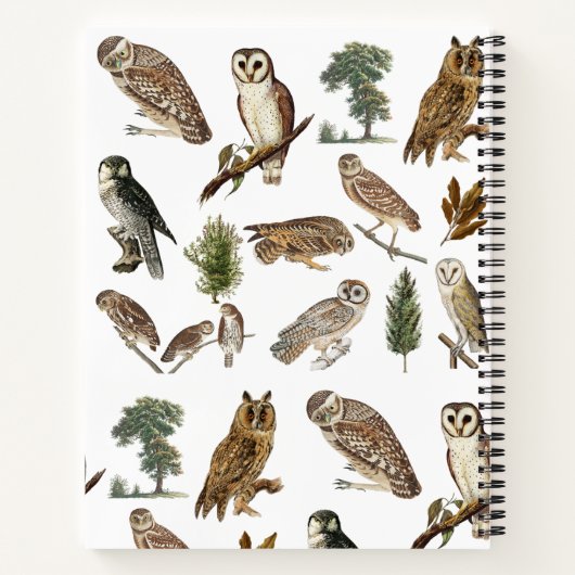  owl Waterverf Forest Pattern Monogram Notitieboek (Achterkant)