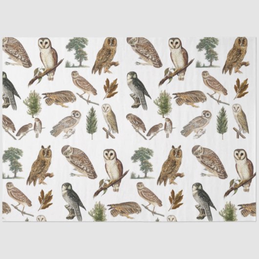  owl Waterverf Forest Pattern Tissuepapier (Voorkant)