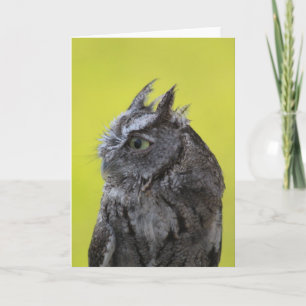 Owl Wenskaart Kaart
