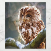 Owl Wijn Etiket (Enkel label)