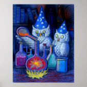 Owl Wizards Magic alchemy whimsical grappig poster (Voorkant)