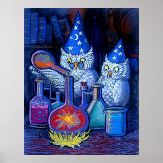 Owl Wizards Magic alchemy whimsical grappig poster (Voorkant)
