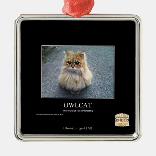 Owlcat Metalen Ornament (Voorkant)