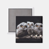 Owlet Trio Magneet (Voorkant / Achterkant)