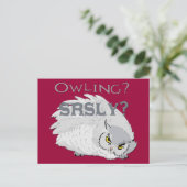 Owling serieus briefkaart (Staand voorkant)