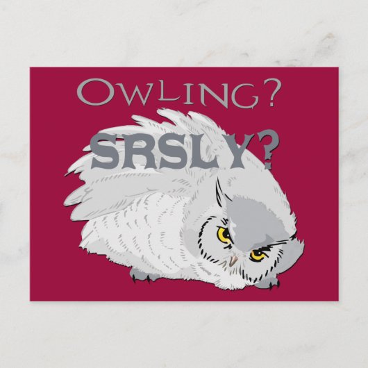 Owling serieus briefkaart (Voorkant)