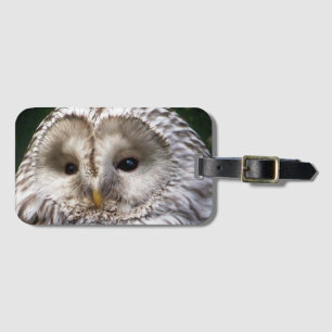 OWLS BAGAGELABEL