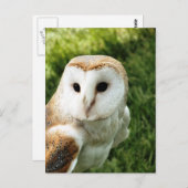 OWLS BRIEFKAART (Voorkant / Achterkant)