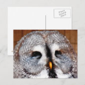 OWLS BRIEFKAART (Voorkant / Achterkant)