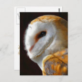 OWLS BRIEFKAART (Voorkant / Achterkant)