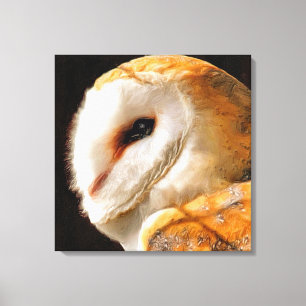 OWLS CANVAS AFDRUK