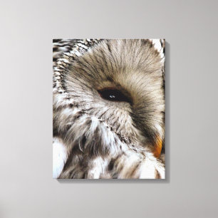 OWLS CANVAS AFDRUK