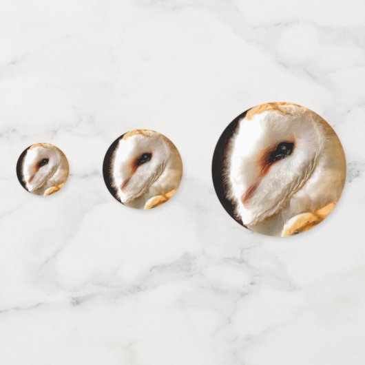 OWLS CONFETTI (Voorkanten)