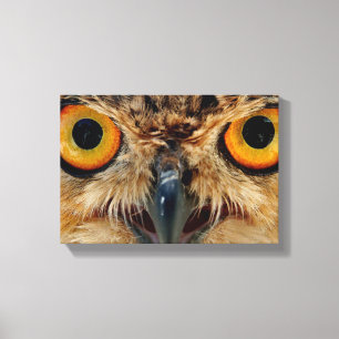 Owls Eyes Canvas Afdruk