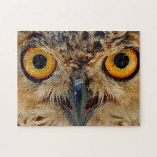 Owls Eyes Legpuzzel