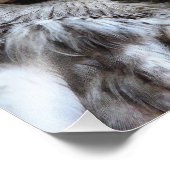 OWLS FOTO AFDRUK (Hoek)