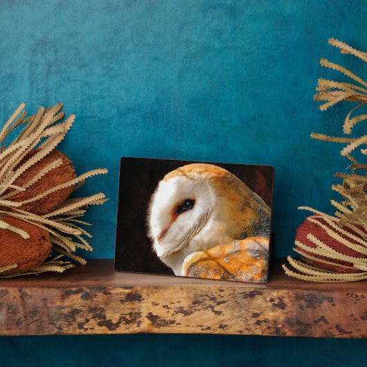 OWLS FOTOPLAAT (Zijkant)