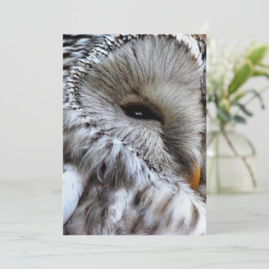 OWLS-INVITATIE (Staand voorkant)