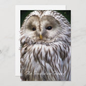 OWLS KAART (Voorkant / Achterkant)