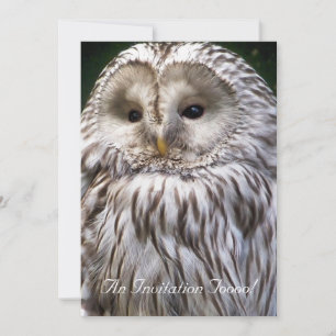 OWLS KAART