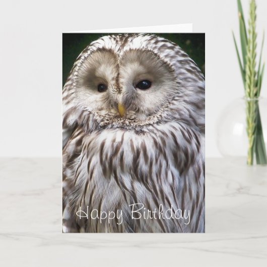 OWLS KAART (Voorkant)