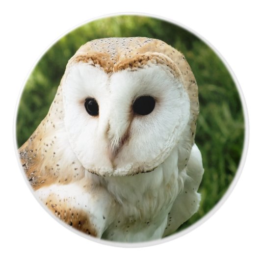 OWLS KERAMISCHE KNOP (Voorkant)