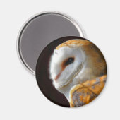 OWLS MAGNEET (Voorkant / Achterkant)