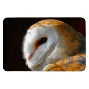 OWLS MAGNEET