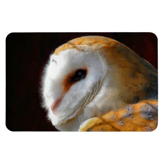 OWLS MAGNEET (Horizontaal)