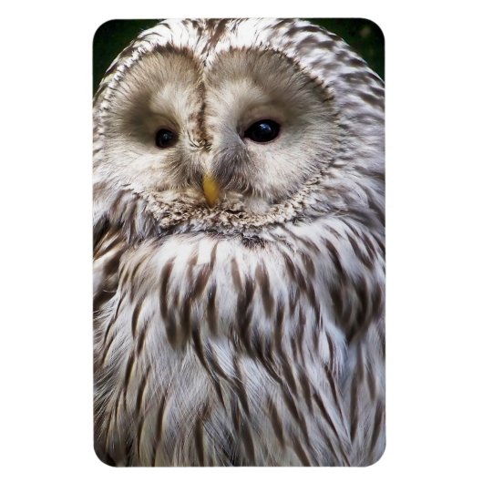 OWLS MAGNEET (Verticaal)