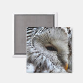 OWLS MAGNEET (Voorkant / Achterkant)