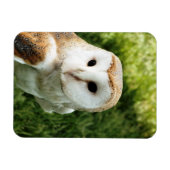 OWLS MAGNEET (Horizontaal)