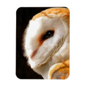 OWLS MAGNEET (Verticaal)