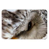 OWLS MAGNEET (Horizontaal)
