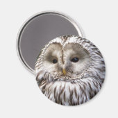 OWLS MAGNEET (Voorkant / Achterkant)