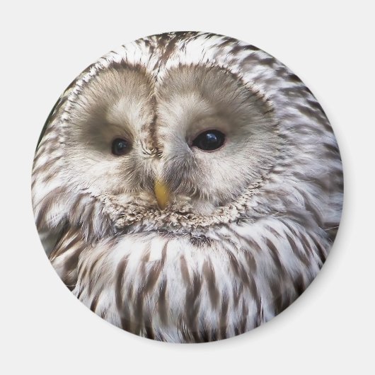 OWLS MAGNEET (Voorkant)
